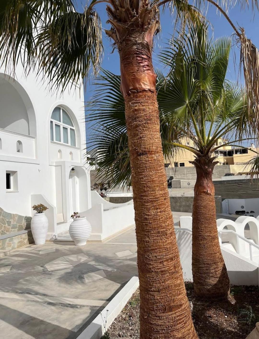 Agapi Hotel 3*